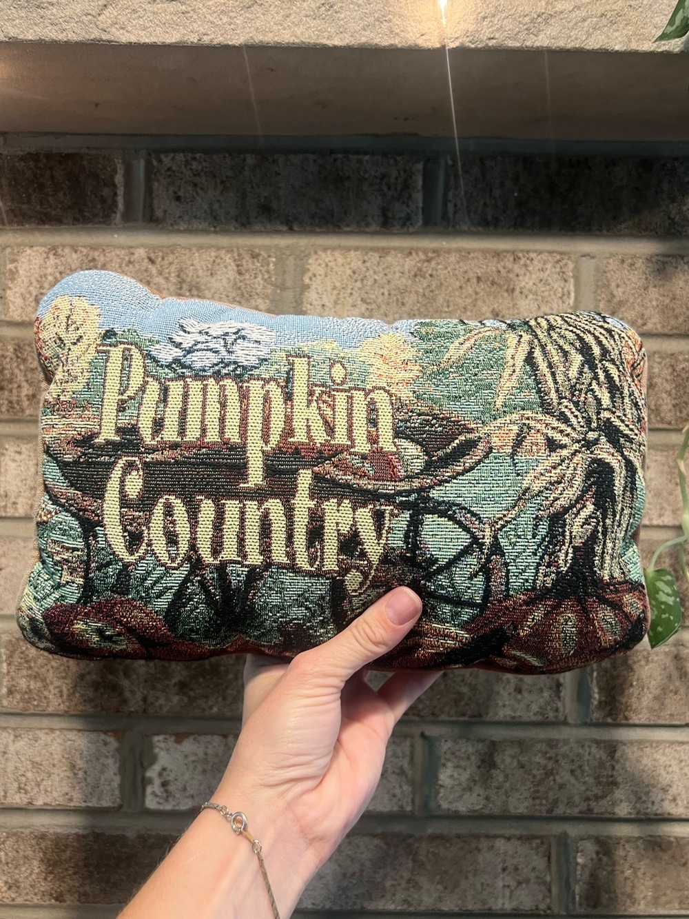 Pumpkin Country Decorative Throw Pillow